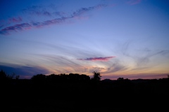 95530A1E-B130-4F6C-B7E3-A721812FFFD1-6700-00000EDD226BCF9E-copie